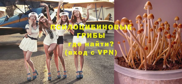 прущие крисы Пересвет