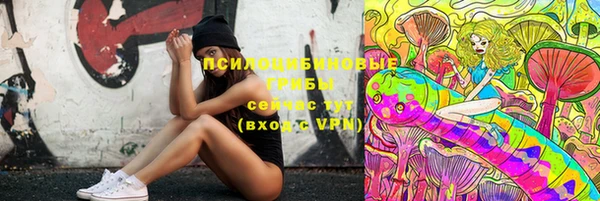 прущие крисы Пересвет
