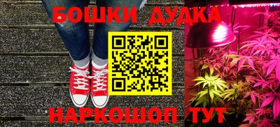ПСИЛОЦИБИНОВЫЕ ГРИБЫ Аргун