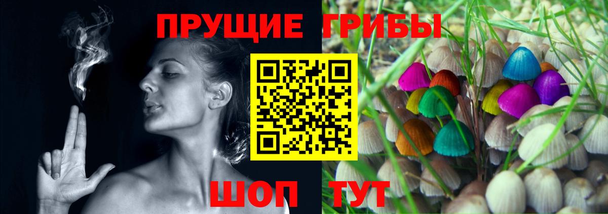 Галлюциногенные грибы Cubensis Грязи