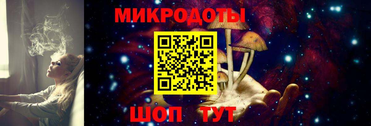 Псилоцибиновые грибы прущие грибы Грязи